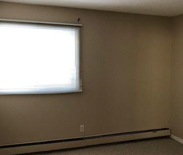 Amazing 2 Bedroom Top Floor Apartment!! - Photo 6