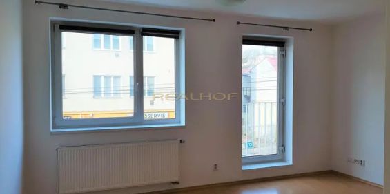 Pronájem cihlového bytu 1+kk na Minské - Photo 3