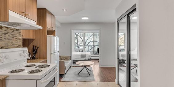 1 Bedroom Furnished - 1180 Rue Du Fort, Ville-Marie - Photo 3