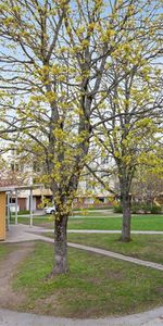 Höstvägen 14 C - Foto 3