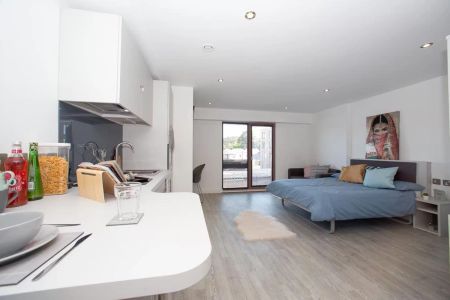 Platinum Plus Studio - Photo 2