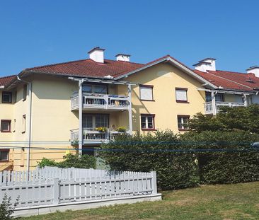 WILHELMSBURG III - Photo 3