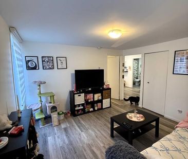 Libre 1ier juillet 26. 4 1/2. Près de tous les service, Tranquilité... - Photo 1