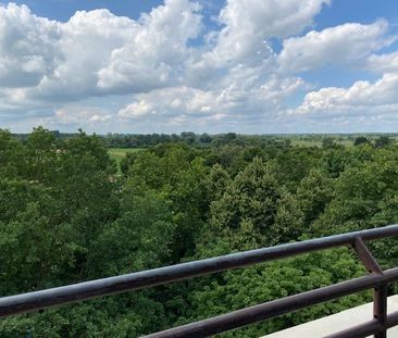 Blick ins Grüne! Ruhige 3-Zimmer-Wohnung mit Balkon - Foto 2