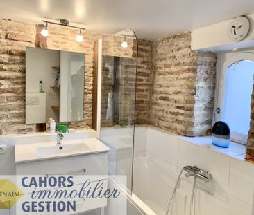 Location Appartement 1 pièce 25m² CAHORS 46000 - Photo 4