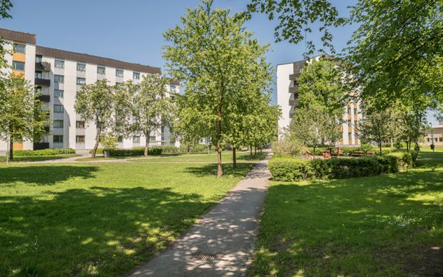 Djäknegatan 19, 75423, Uppsala - Photo 1