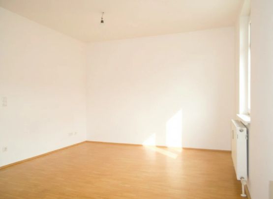 Sonnige Garconniere mit AllgGarten nahe CITY PARK - Foto 1