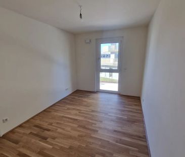 OPEN HOUSE am 21 März von 10.00 bis 16.00 Uhr Weltoffenes und zeitg... - Foto 4