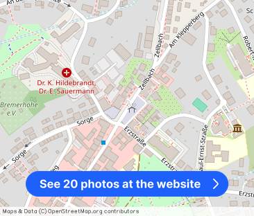 *Erstbezug nach Komplettsanierung! 2-Zi-Wohnung mit neuer Einbauküche* - Photo 1