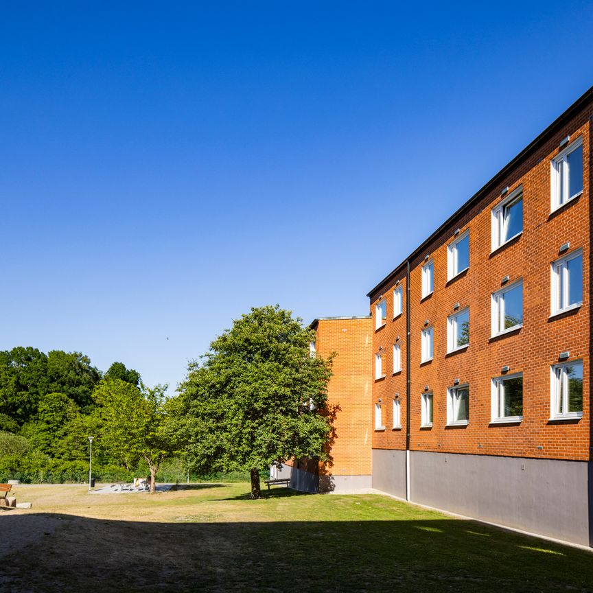 Bygatan, Mörrum - Foto 1
