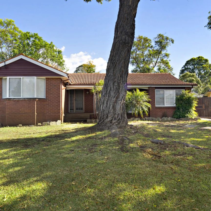 Freshly Updated Home in Sought-After Crestwood Catchment - Photo 1
