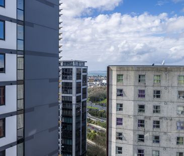 Modern Studio & 1-Bedroom Apartments at Domain View - Photo 3