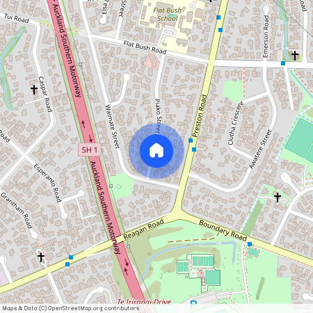 32 Piako Street, Otara, Manukau City