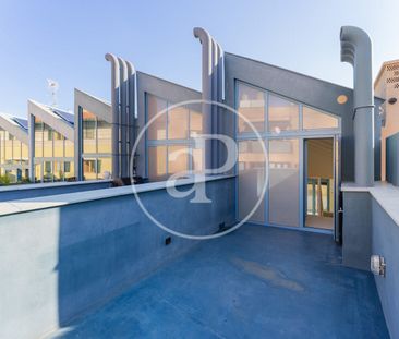 Apartment for rent in El Terreno (Palma de Mallorca) - Photo 4