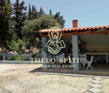 Διαμέρισμα για ενοικίαση Κέντρο (Παλαιά Φώκαια) - Φωτογραφία 5
