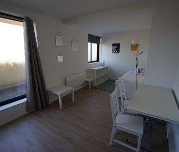 LILLE - APPARTEMENT - T1 MEUBLE - Photo 6