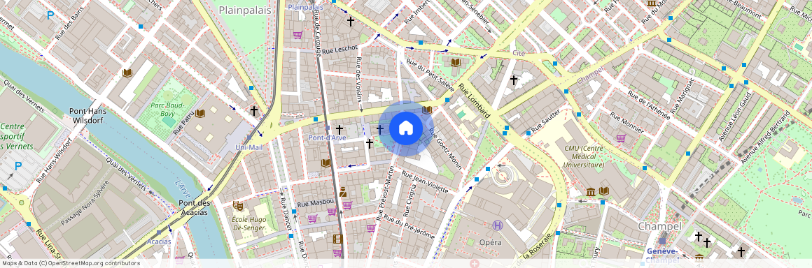 1205, Jonction-Plainpalais-Arve Rive