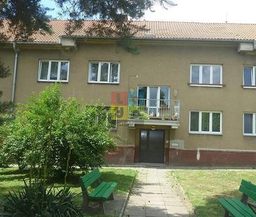 Pronájem bytu 1+kk 33 m² - Fotografie 5