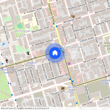 229 Carlton Street, Toronto, Ontario, M5A 2L2 (Carlton St.andParliament St.)