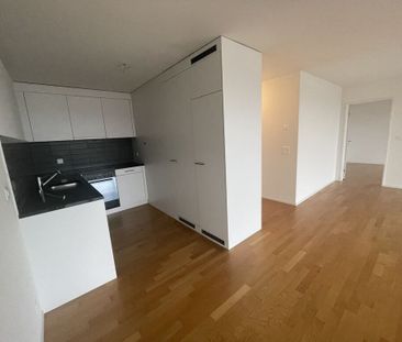 MODERN WOHNUNG AN FAMILIENFREUNDLICHER LAGE IN HUNZENSCHWIL - Photo 6