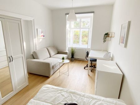 Große Neugasse Top 11 Zimmer 2 - Photo 3