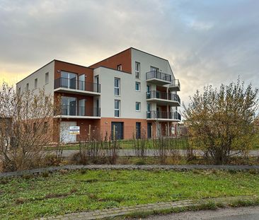 Appartement T3 Giberville à louer - Photo 5