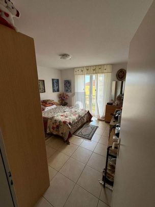 TRANQUILLO E SOLEGGIATO - Photo 1