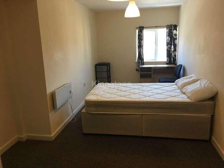 Miskin Street, Cathays, CF24 - Photo 5