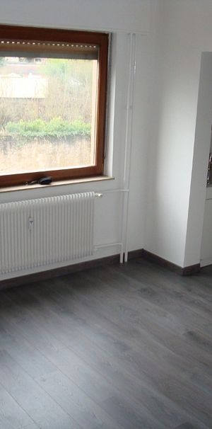 APPARTEMENT - 23 m2 - 1 pièces rue des chÃ¨vres à SARREGUEMINES 57200 - Photo 1