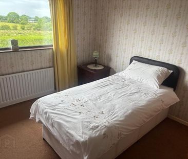 29 Ardtanagh Road, Dromara, BT25 2BX - Photo 4
