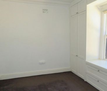 WALK EVERYWHERE FROM THIS 3 BEDROOM HOME! - Photo 3