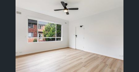 Renovated two bedroom apartment in prime location - Photo 2