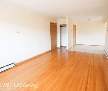 Renovated Suite - 1 Bedroom - Photo 1
