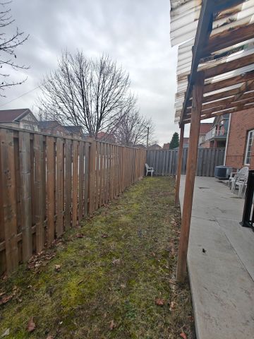 For Lease - 828 Bethany Crescent Unit# Bsmt, Mississauga, Ontario - Photo 5