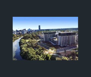 1 Bedroom + 1 bedroom on Morton st - Photo 1