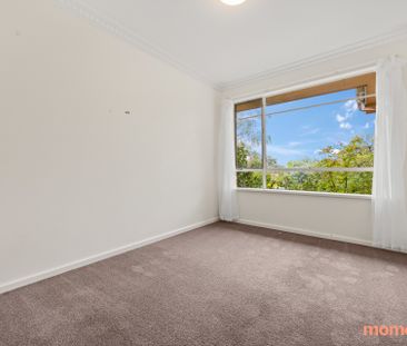8 Jackson Street, Campbell ACT 2612 - House For Rent | Domain - Photo 5