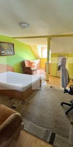 Apartament 1 cameră, cu balcon, în vilă, Andrei Mureșanu – 47 mp - Photo 3