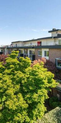 / 1br - 613 sf KITSILANO - 1 BR + 1 BATH pet friendly - Photo 1