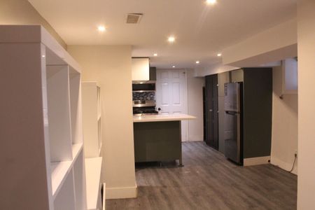 For Lease - 263 Grace Street Unit# Lower, Toronto, Ontario - Photo 4