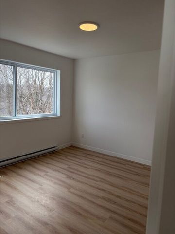 544 Rue Saint-Michel, Sherbrooke, (Vacant) QC J1E 2L1 - Photo 2