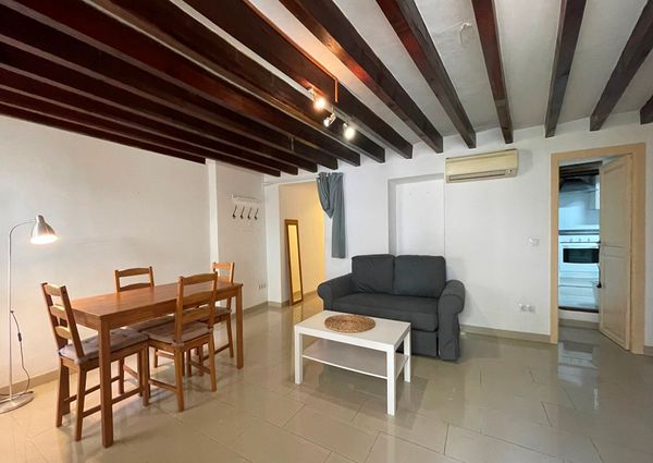 Centro Historico, apartamento un dormitorio amueblado con terraza, Paseo del Borne.