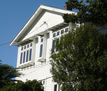 Spacious 5BR Aro Valley Haven - Photo 6