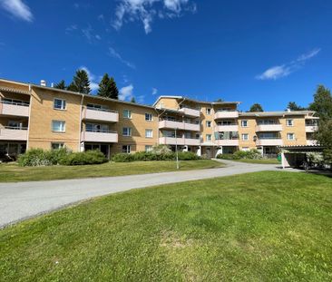 Lyckogränd, Skellefteå - Foto 1