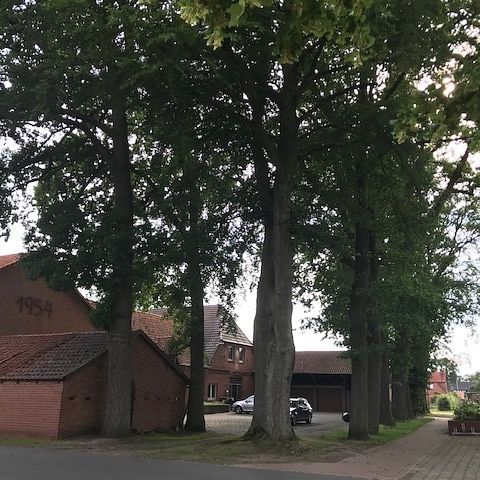 Appartement auf einer Hofstelle im Dorfzentrum von Haßbergen! - Foto 1