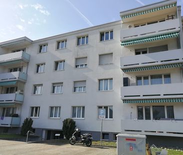 3.5 Zimmer - Photo 5