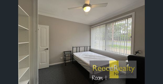 STUDENT HOUSE OPPOSITE UNI! - Photo 1