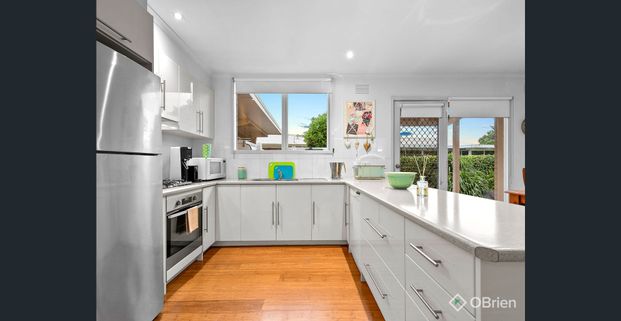 Great Family Living in a Great Location - Photo 1