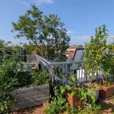 WARMMIETE - Goldener Hirsch - Stilvolle 3-Zimmer-Wohnung mit Balkon und TRAUMTERRASSE - Foto 3