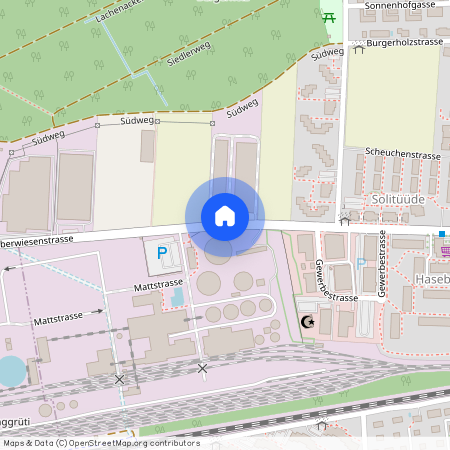 8500, Frauenfeld, Oberwiesenstrasse