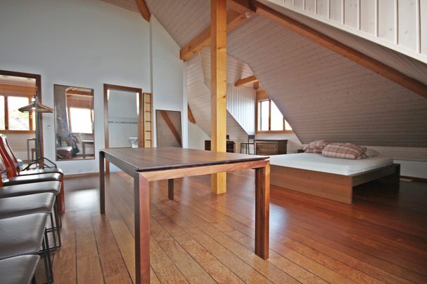 Superbe studio MEUBLE - COURTE DUREE / Vue lac - Jardin - Piscine - Photo 1